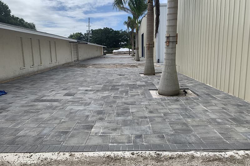 Long paver walkway between two commercial buildings, with palms set into the paving